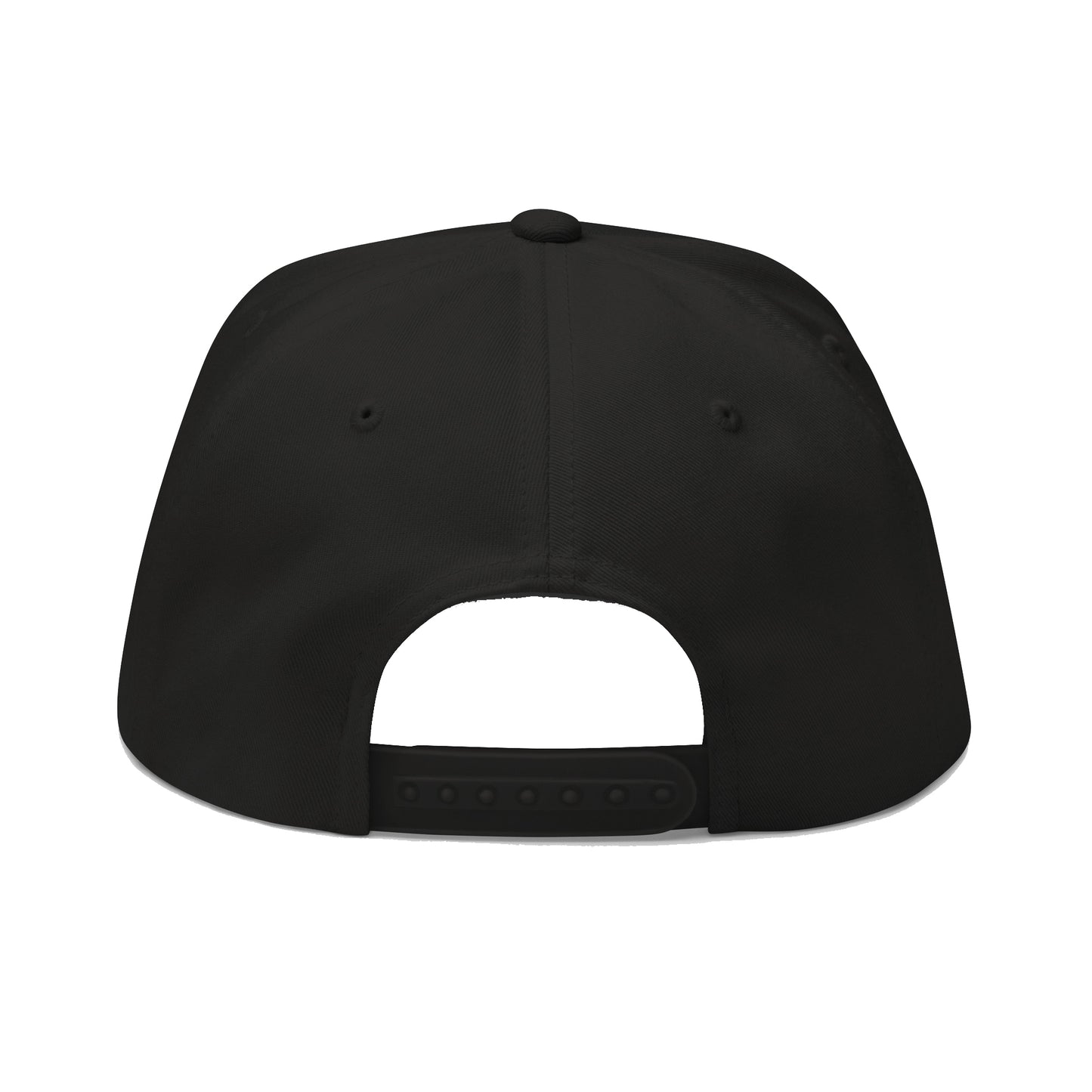Valley Snap Back Hat